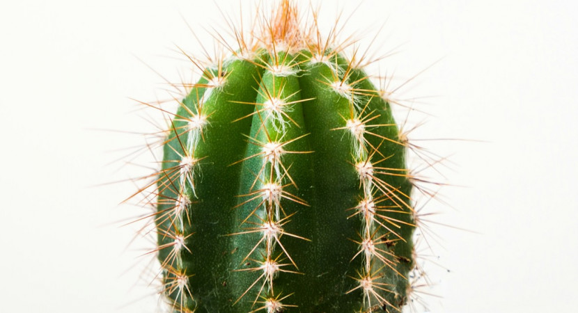 Lidz boekenclub voor Lean adviseurs: cultuur van continu verbeteren – boek: ‘Doe anders even anders’  (VOL)