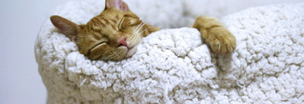 Augustus - de maand van minder rennen, meer reflectie