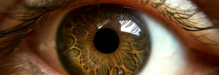 Boek van de maand februari: Learning to see - Mike Rother en John Shook