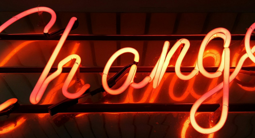 Lidz boekenclub speciaal voor Lean Leiders: Vaart in Verandering - boek van Maaike Thiecke