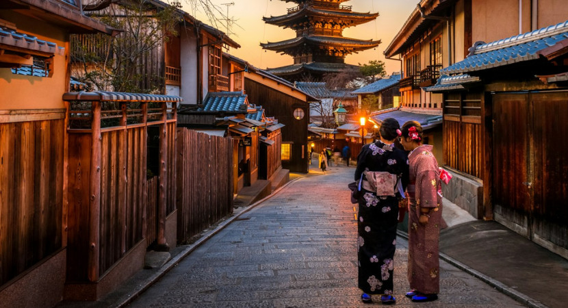 Lidz Japan study tour 2027