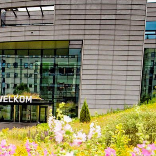 Open dag Continu Verbeteren bij Zilveren Kruis Achmea (APELDOORN)