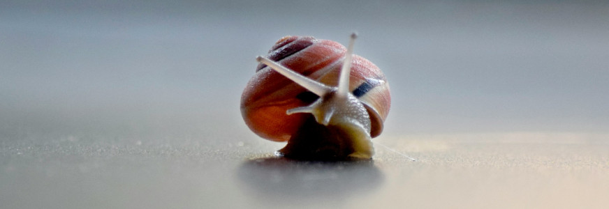 Januari: Van goede voornemens naar goed werk
