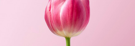 Lidz bezoekt Royal FloraHolland met 15 toezichthouders, bestuurders en lean experts